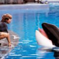 ‘Free Willy’ Reboot in the Works at Warner Bros.
