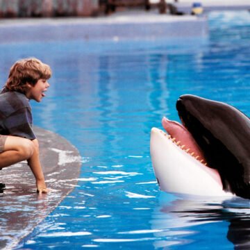 ‘Free Willy’ Reboot in the Works at Warner Bros.