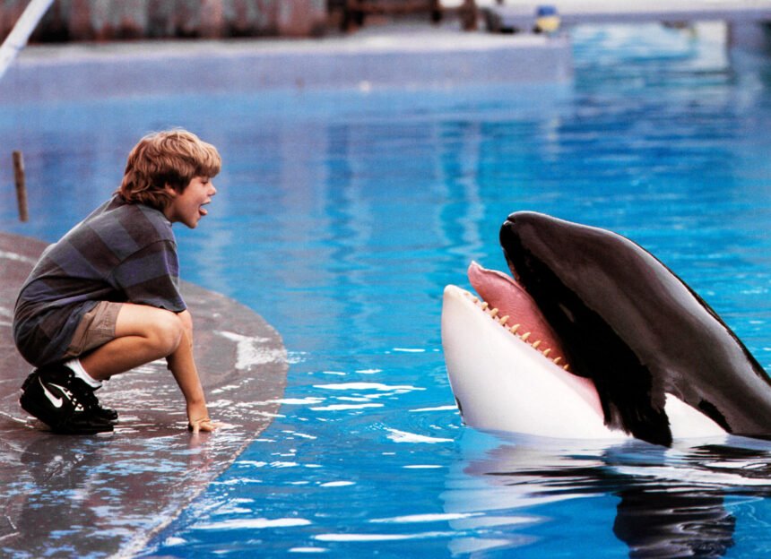 ‘Free Willy’ Reboot in the Works at Warner Bros.