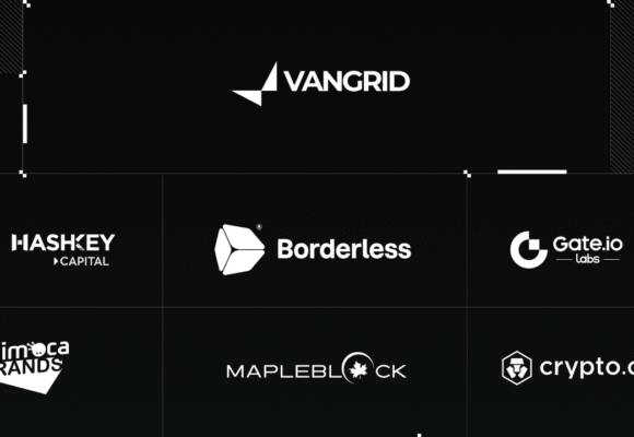 Vangrid raises $9M seed to build a decentralised spatial intelligence network for the Physical AI era